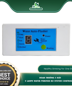 Boar thường 5 dây