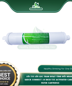 Lõi T33 lõi lọc than hoạt tính nối nhanh